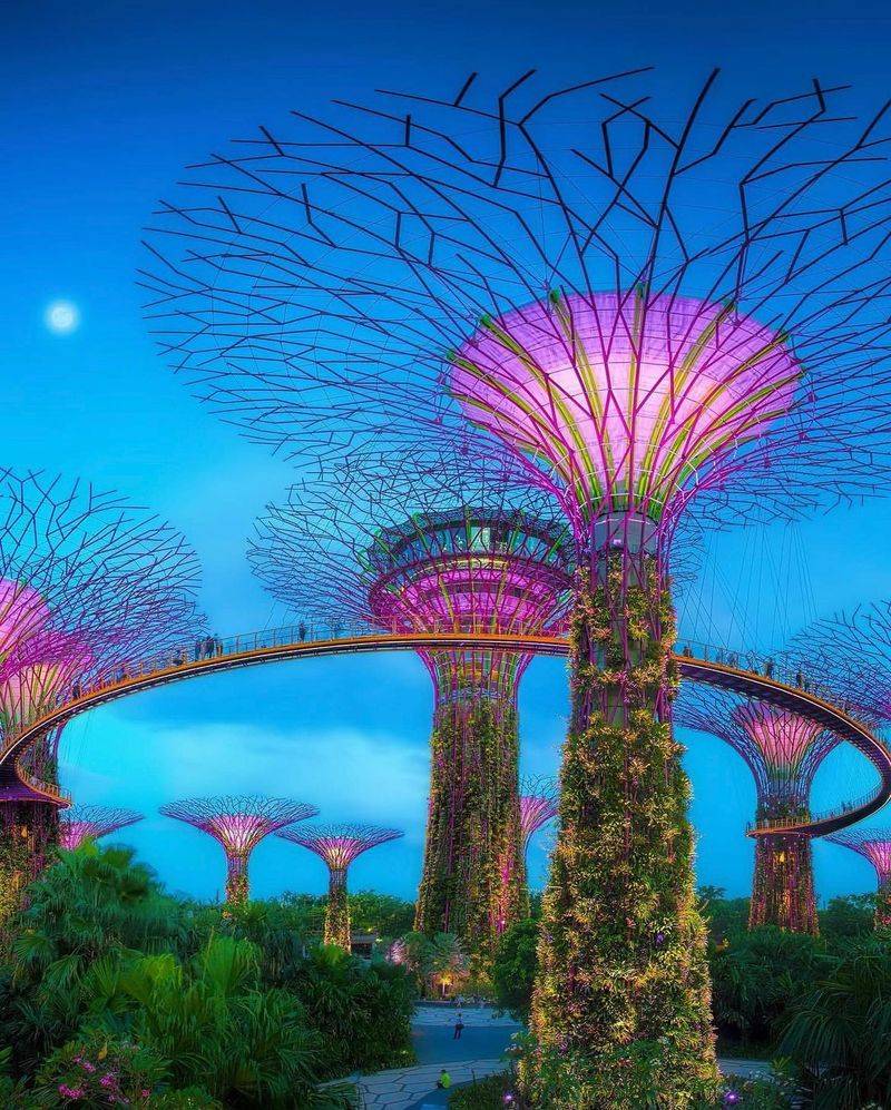 Singapore