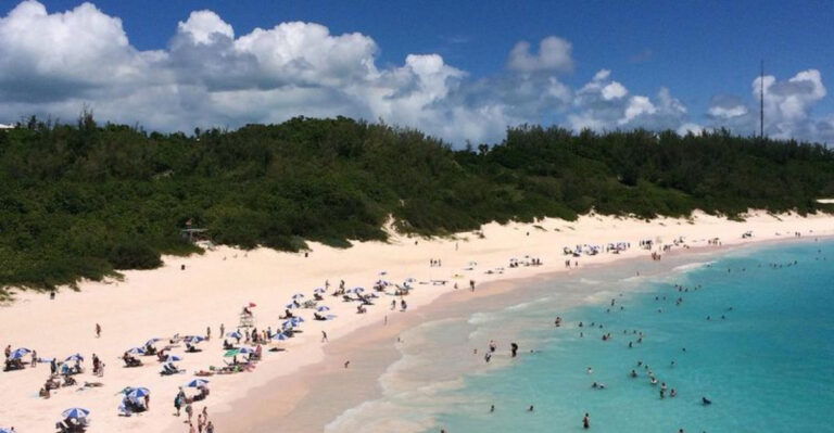 20 Barrier Islands off Florida’s Forgotten Coast