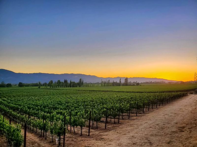 Napa Valley, California