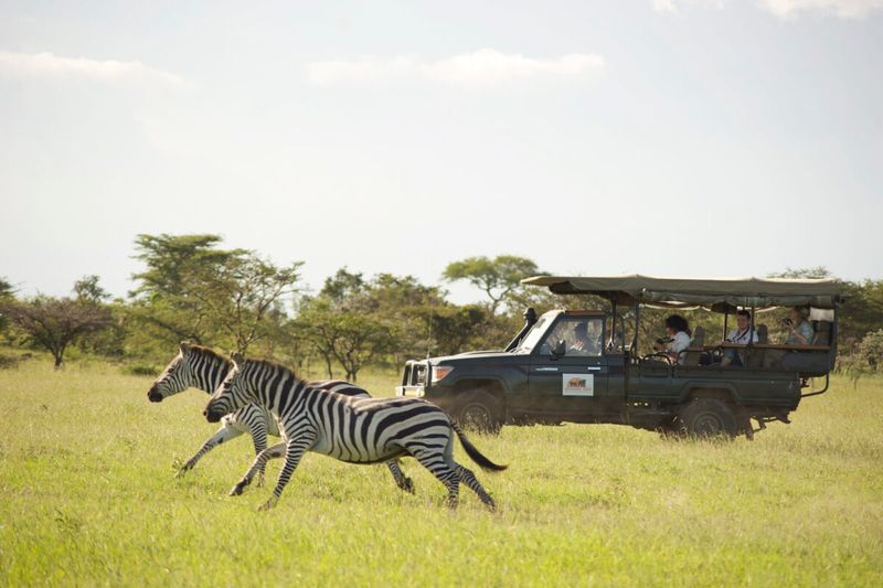 African Safari in Tanzania