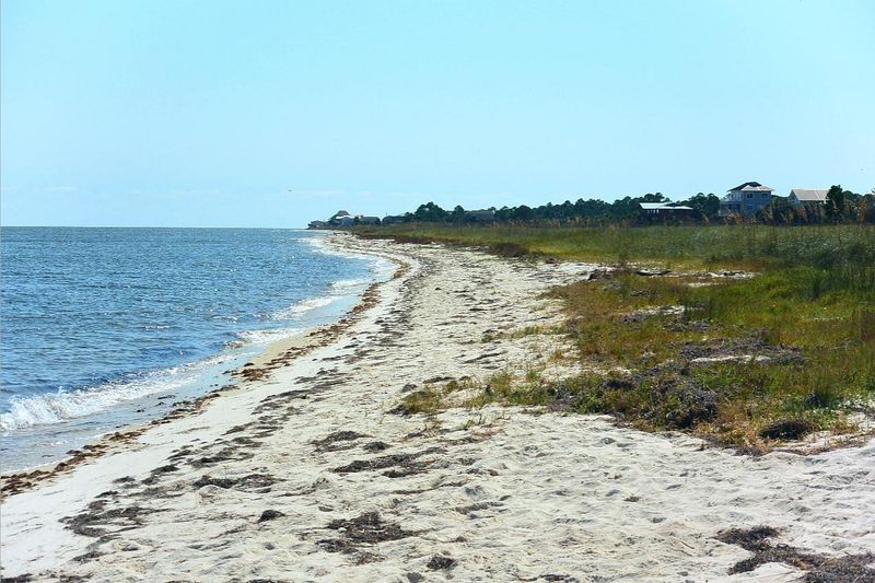 Alligator Point