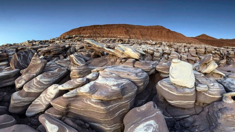 Arizona's Mysterious Petrified Forest