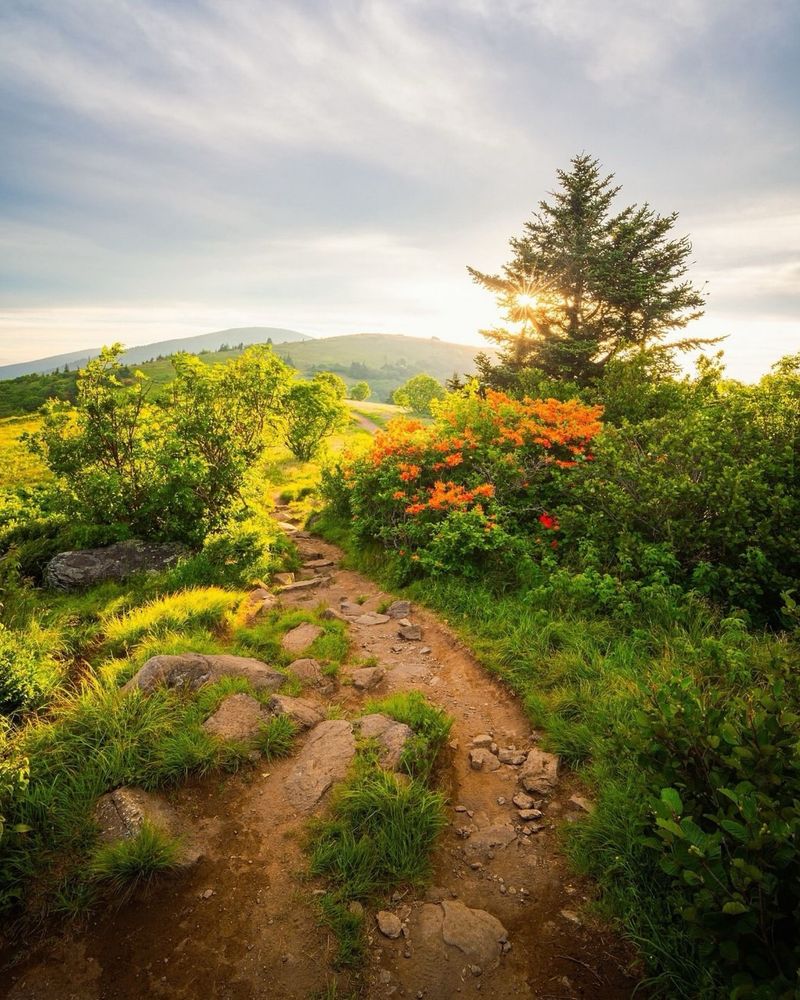 Asheville, North Carolina