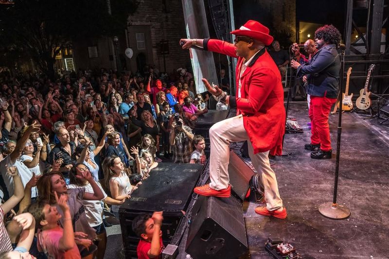 Avoid: The Annual Seagull Serenade Festival