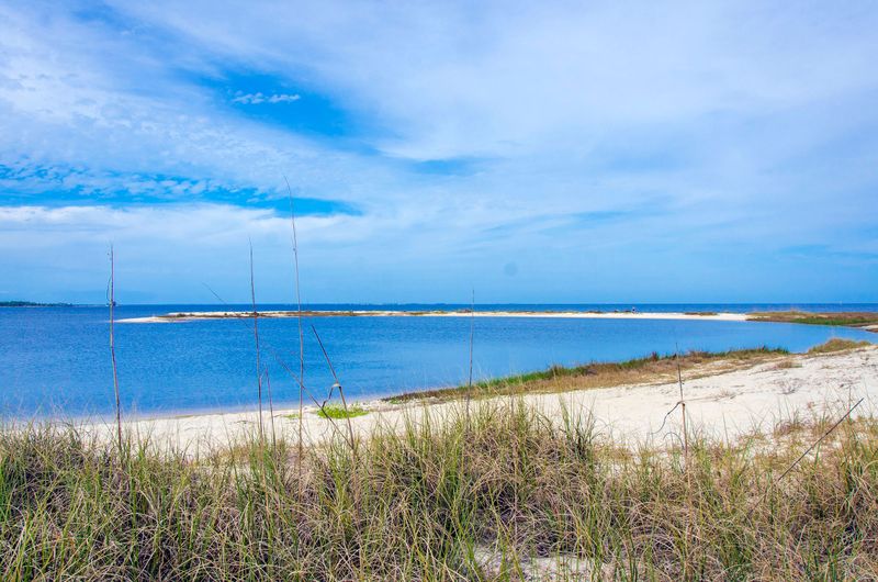 Bald Point State Park