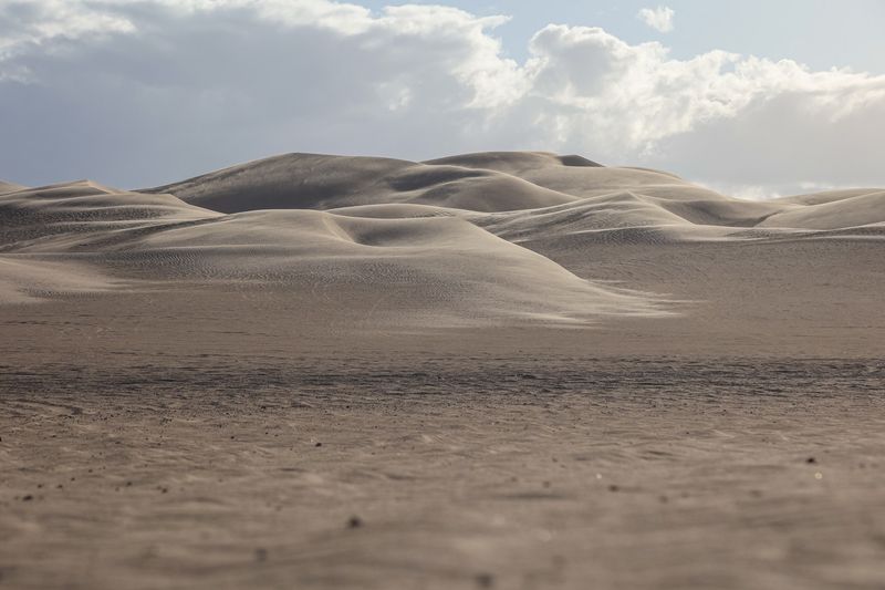 Buttercup Valley Sand Dunes, Arizona