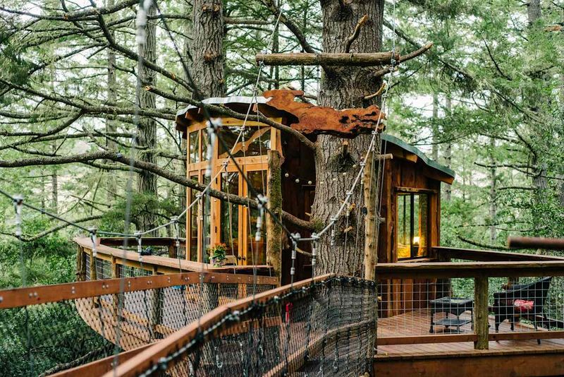 California's Giant Sequoia Treehouses