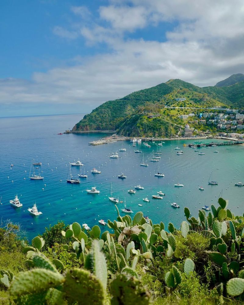 Catalina Island, California