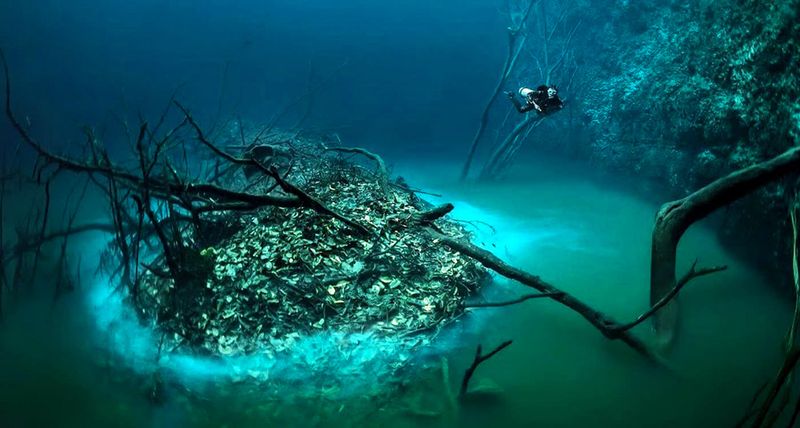 Cenote Angelita, Mexico