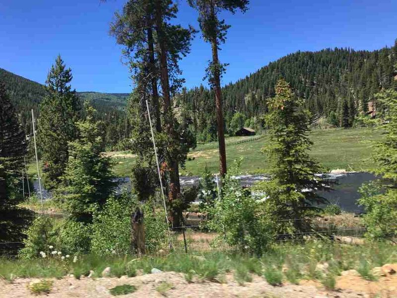 Colorado's Enchanted Forest Maze