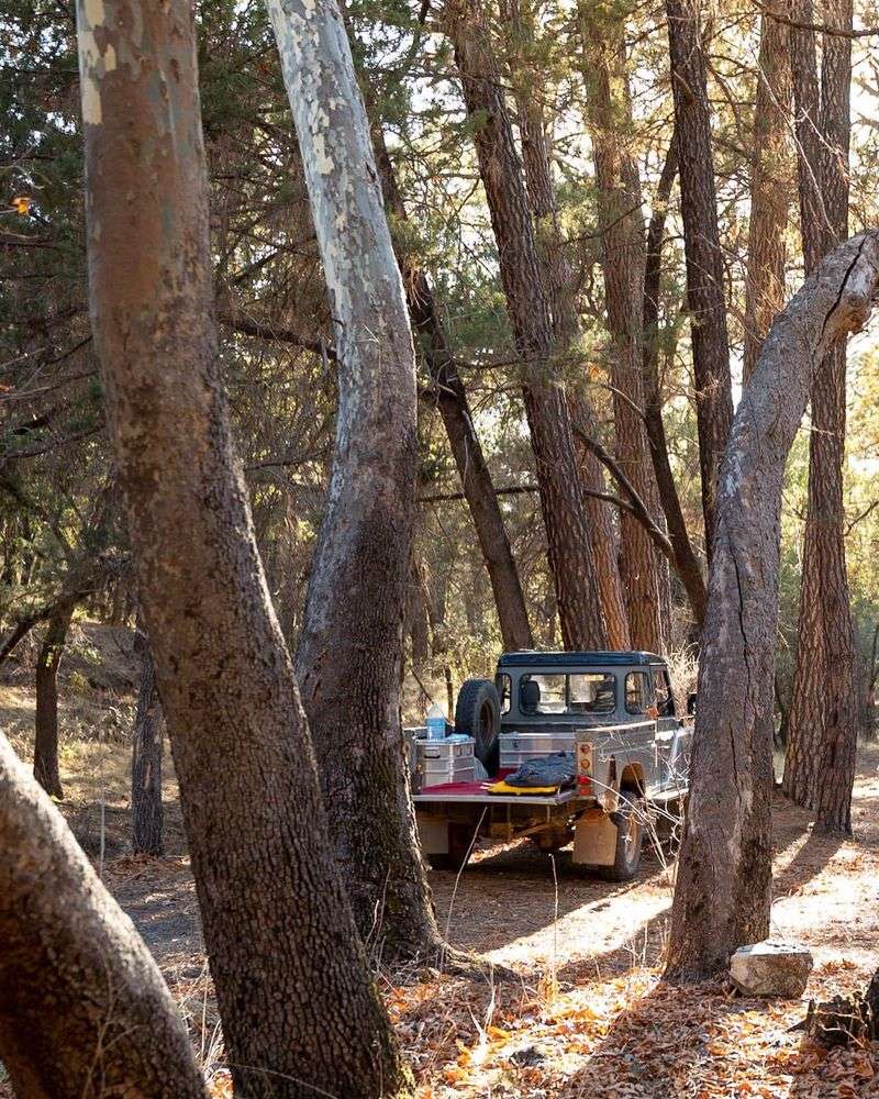 Coronado National Forest, Arizona