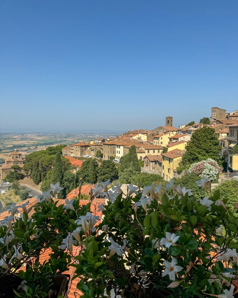 Cortona