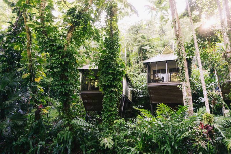 Daintree Ecolodge