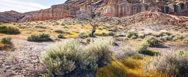 Desert Botany