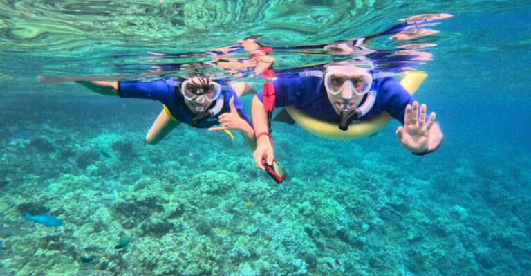 Dive Into Adventure At These 19 Unique Snorkeling Spots Across The Globe