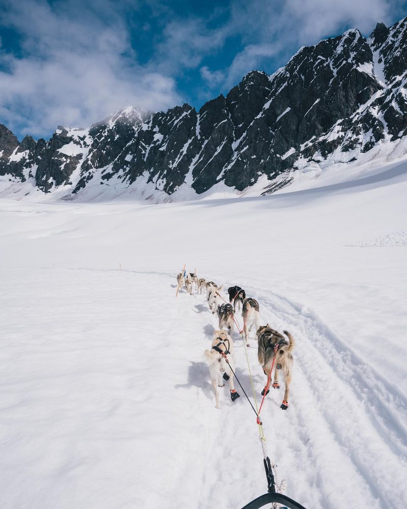 Dog Sledding in Alaska