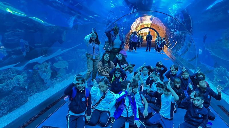 Dubai Aquarium & Underwater Zoo