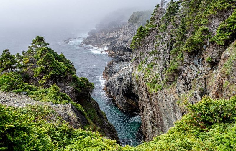 East Coast Trail