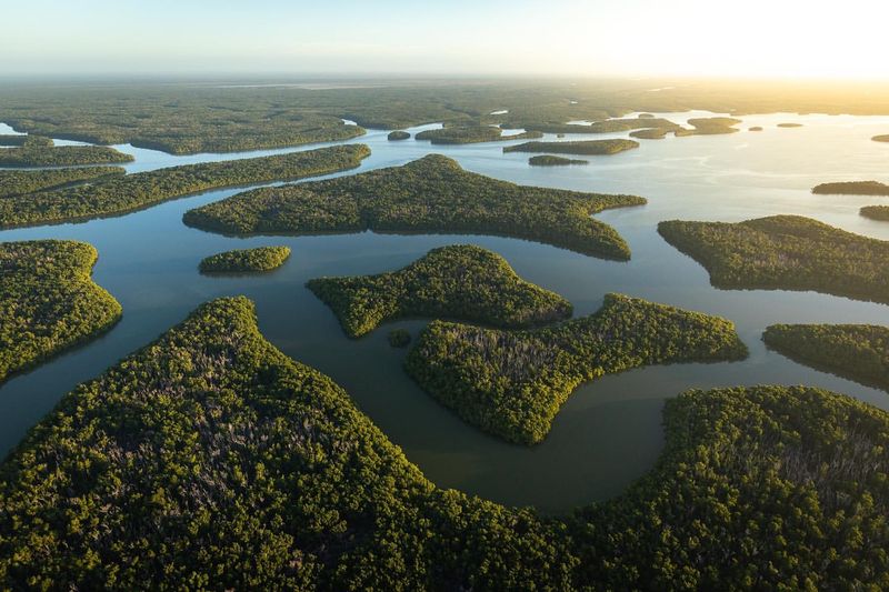 Everglades National Park, Florida