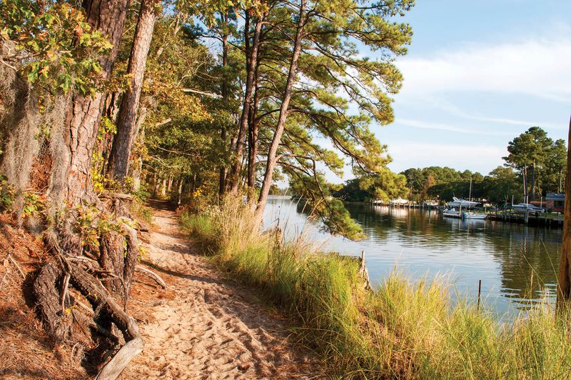 Explore First Landing State Park