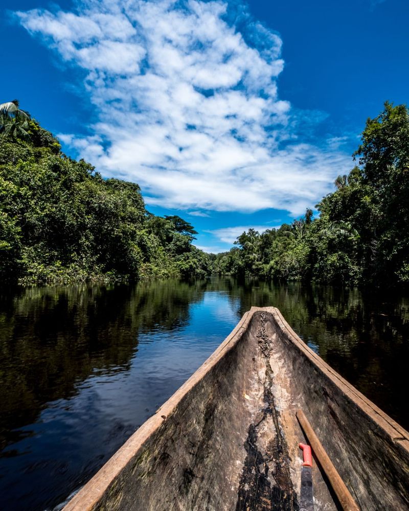 Exploring the Amazon Rainforest