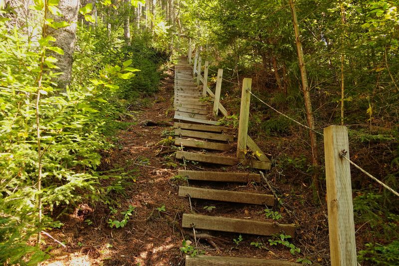 Fundy Footpath