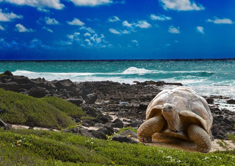 Galápagos Islands, Ecuador