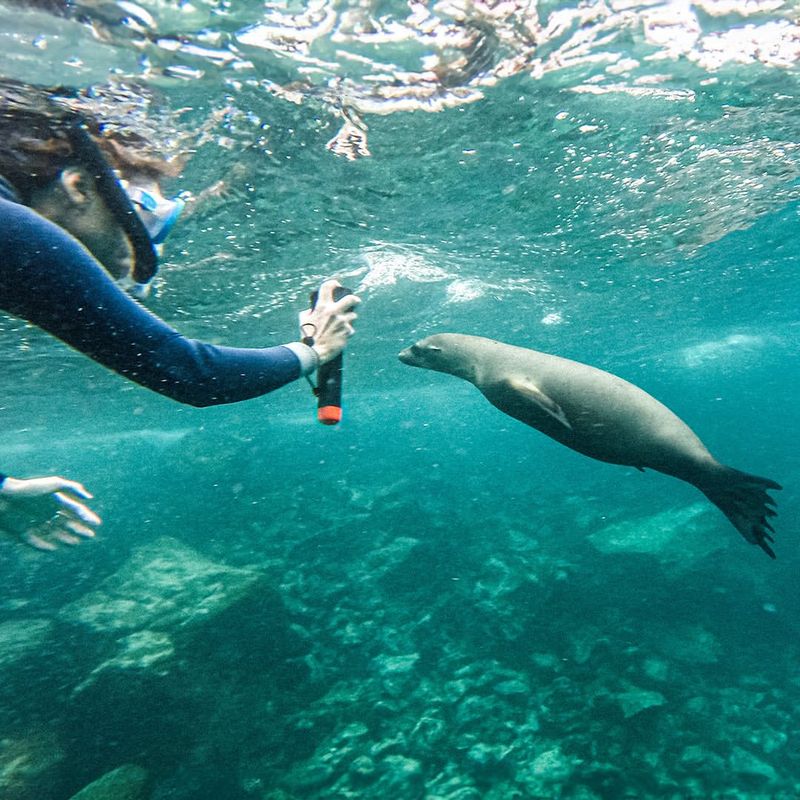 Galápagos Islands, Ecuador