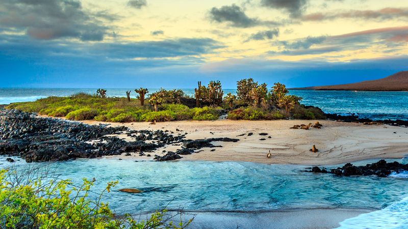 Galápagos Islands, Ecuador