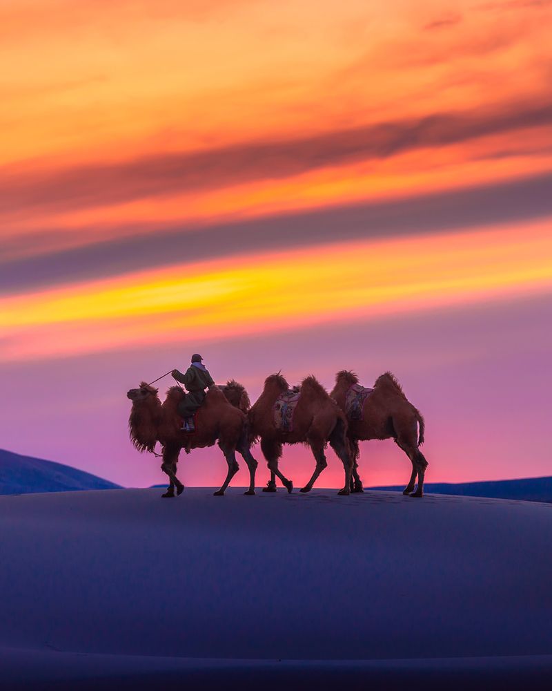 Gobi Desert, Mongolia