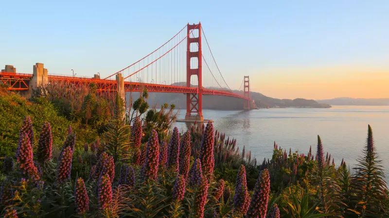 Golden Gate Bridge