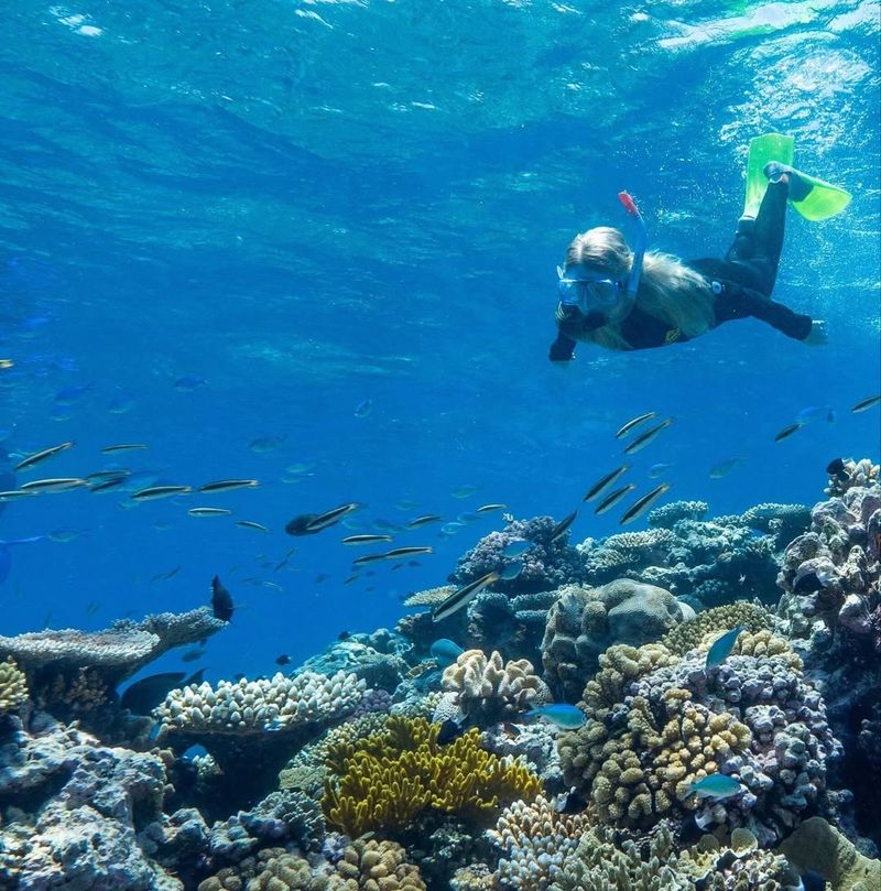 Great Barrier Reef, Australia