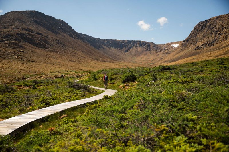 Gros Morne Mountain Trail