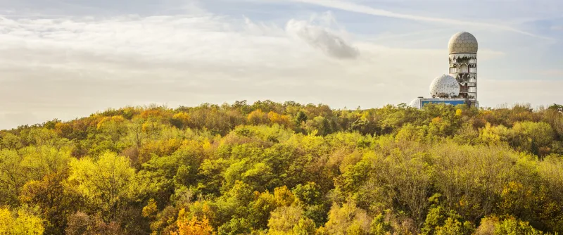 Grunewald Forest