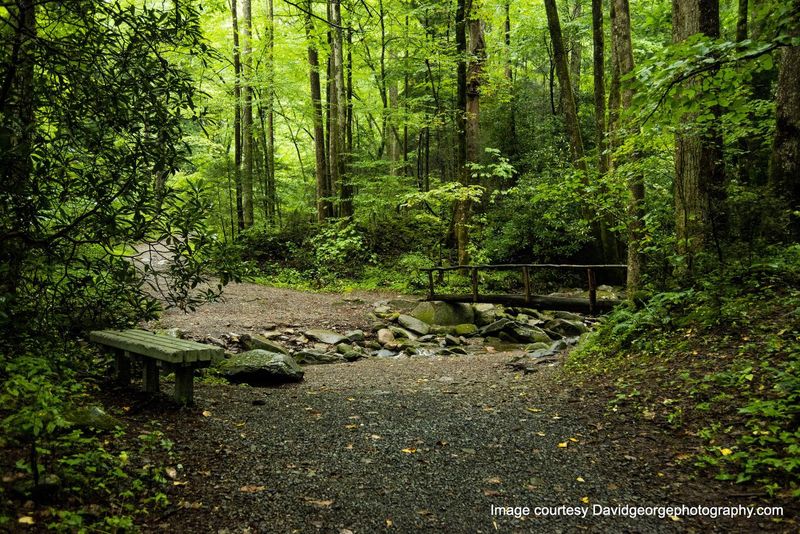 Cosby Campground & Nature Trails