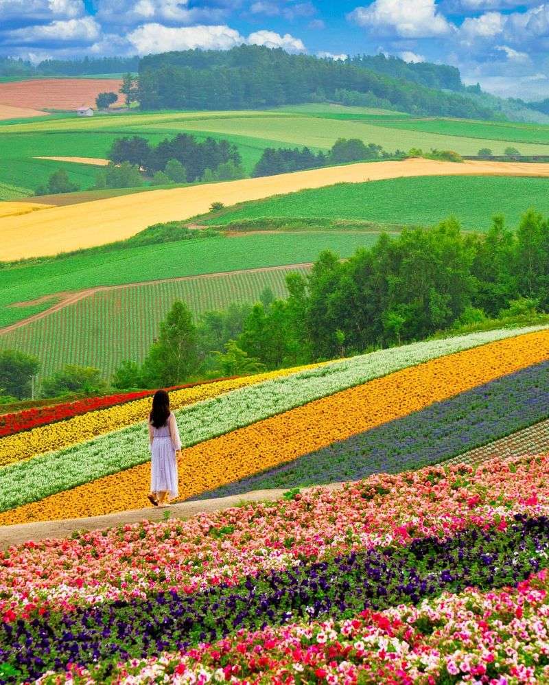 Hokkaido, Japan