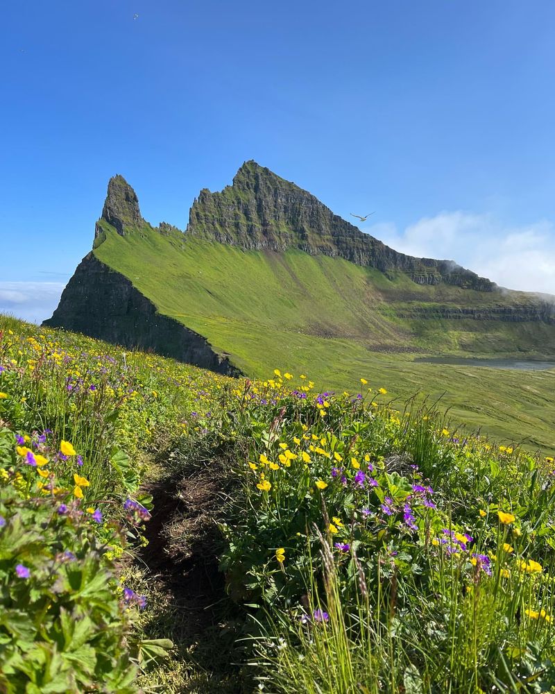 Hornstrandir Nature Reserve