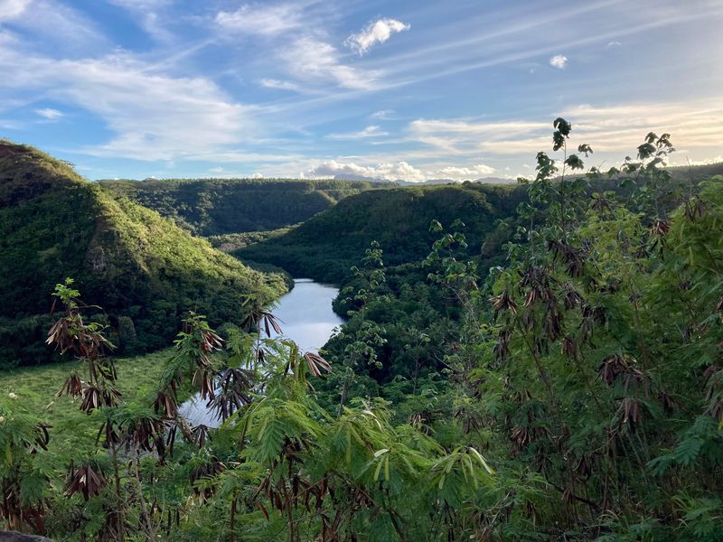 Kauai Jungle Retreat