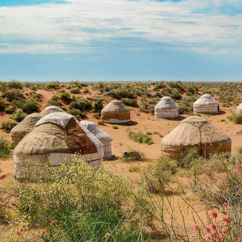 Kyzylkum Desert, Kazakhstan/Uzbekistan