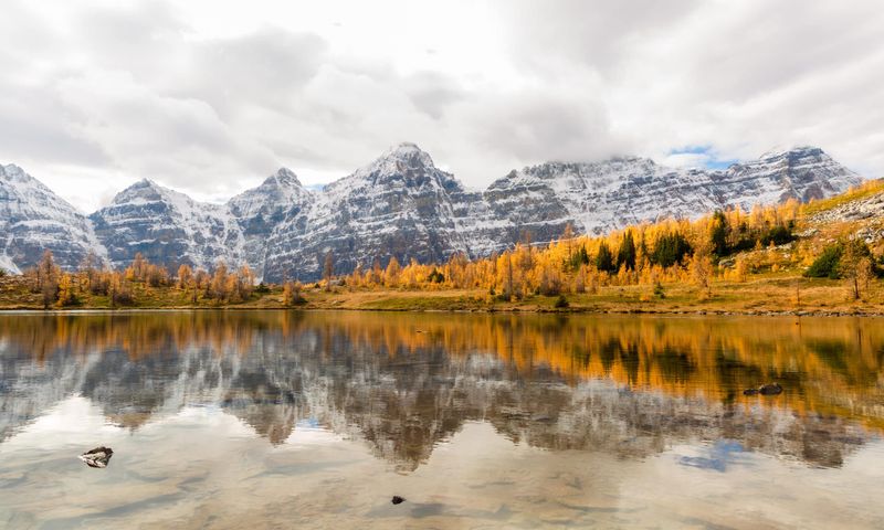 Larch Valley Trail