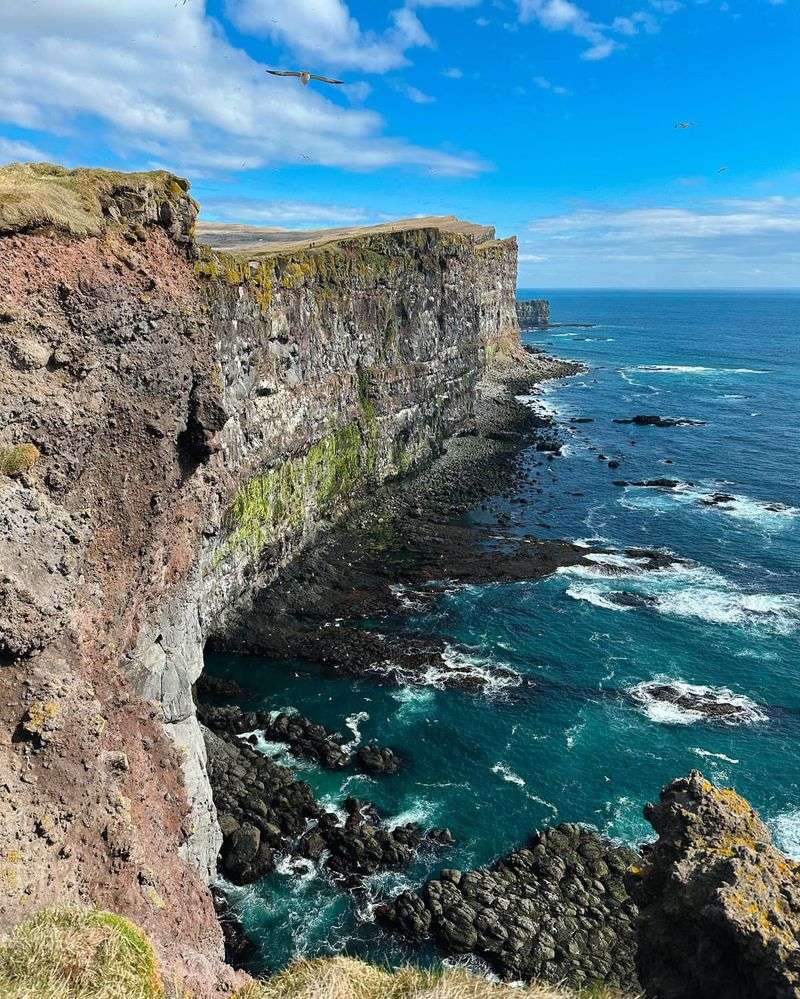 Latrabjarg Cliffs