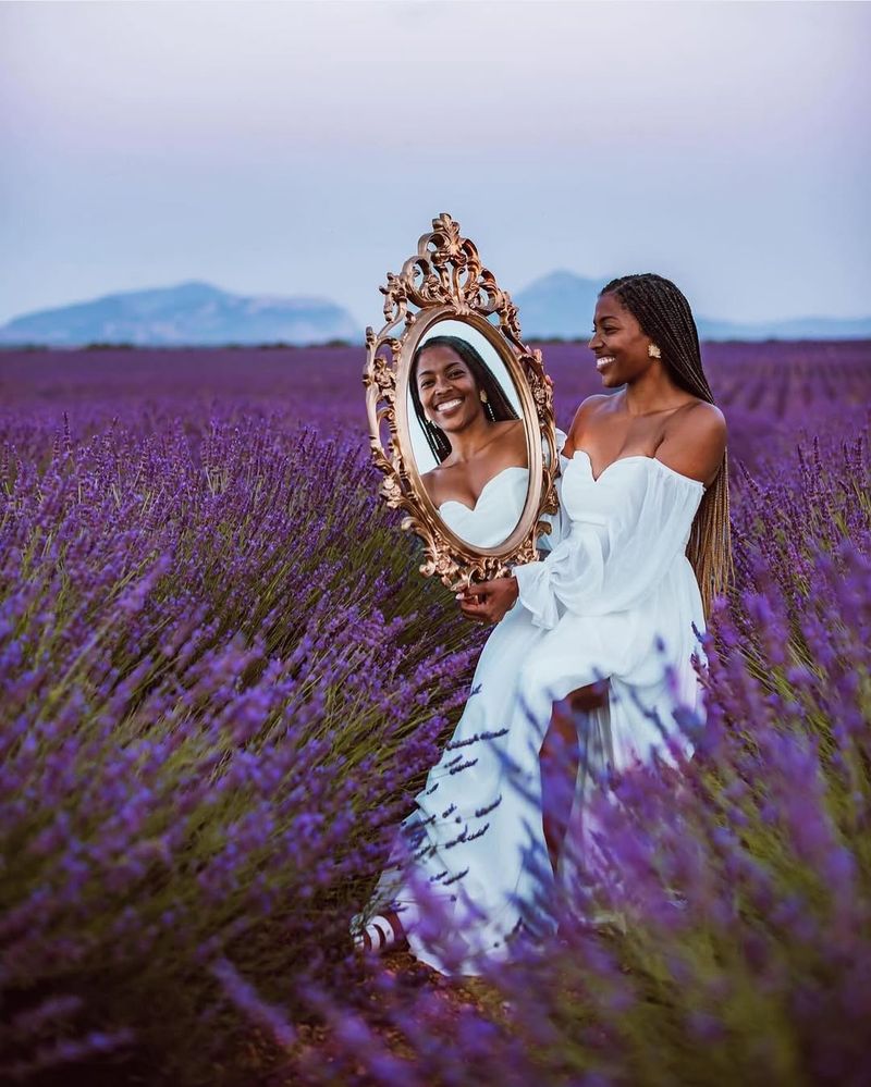 Lavender Fields of Provence