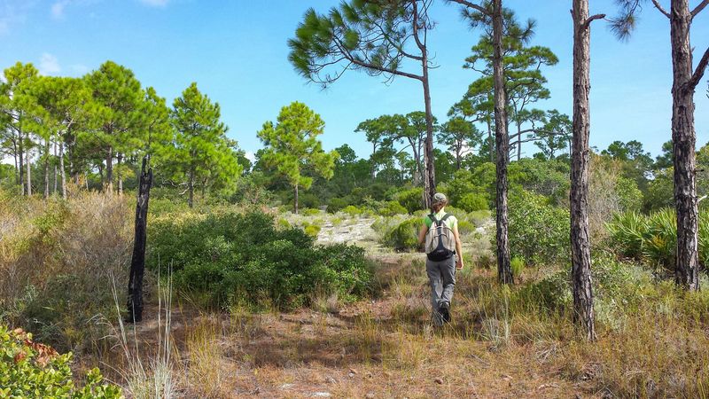 Little St. George Island