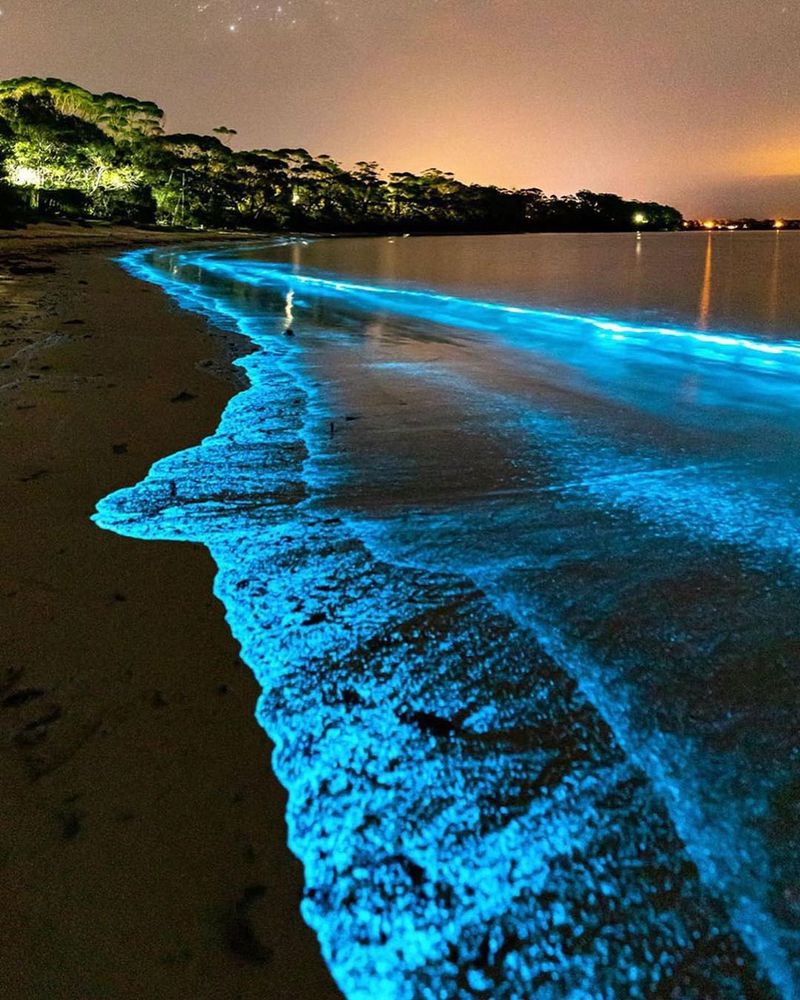 Luminous Lagoon