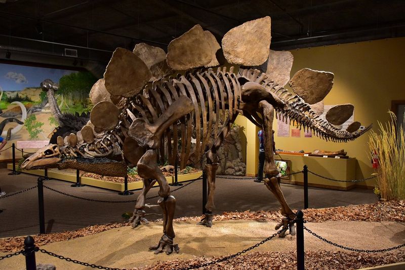 Makoshika Dinosaur Museum (Glendive)