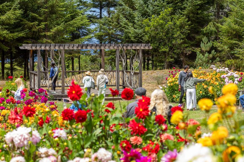 Mendocino Coast Botanical Gardens