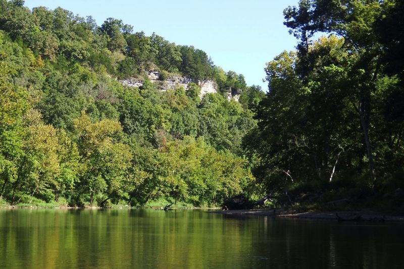 Missouri's Floating Forest