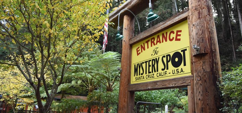 Mystery Spot, California