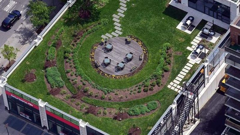 New York's Secret Rooftop Garden