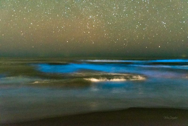 North Carolina's Glowing Lagoon